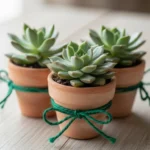 23 Budget-Friendly Green Party Favors That Impress Instantly